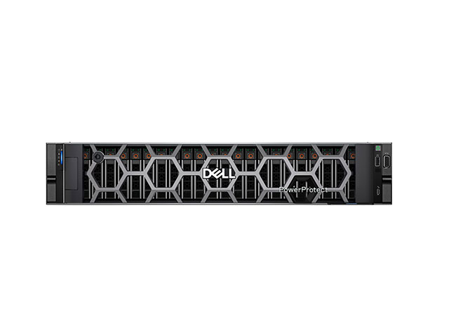 Резервное копирование и восстановление Dell DD9910