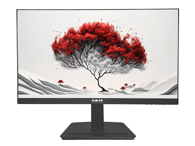 RDW Computers Монитор RDW2401К F00B3100V2A1
