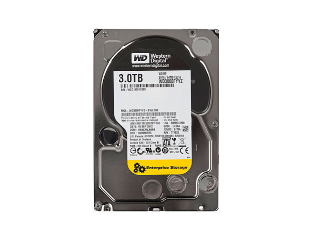   Western Digital SATA WD3000FYYZ