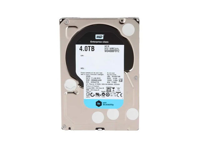   Western Digital SATA WD4000F9YZ