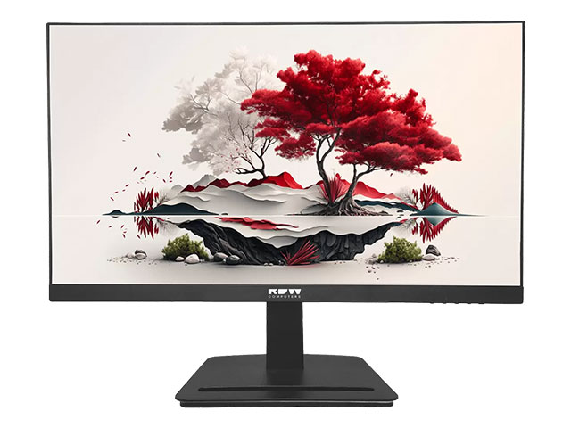 RDW Computers Монитор RDW2501К