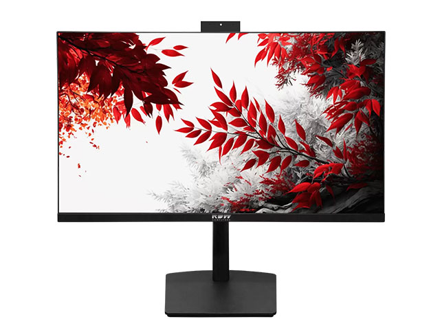 Мониторы RDW Computers Монитор RDW2402К F13B360V2A1