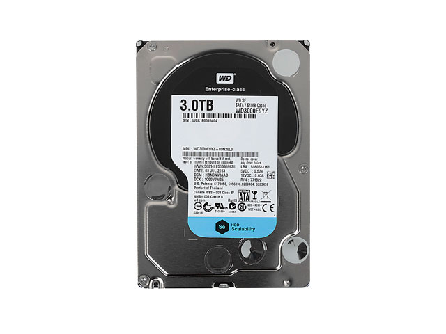   Western Digital SATA WD3000F9YZ