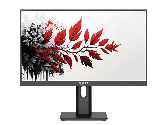 RDW Computers Монитор RDW2701K F00В0100V2A1
