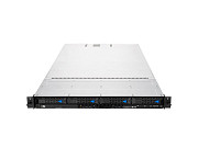 Серверы Nerpa Nord D3010