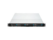 Серверы Nerpa Nord S3010