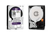 WD Purple SATA III HDD